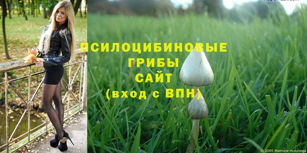 дурь Абдулино