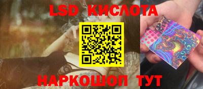 PSILOCYBIN Заволжье