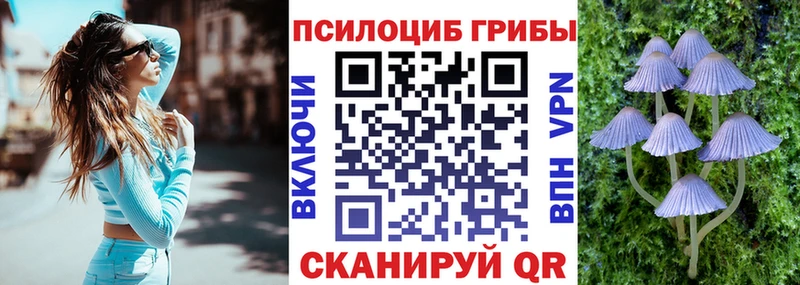 Псилоцибиновые грибы MAGIC MUSHROOMS  купить наркотики цена  Новоалександровск 