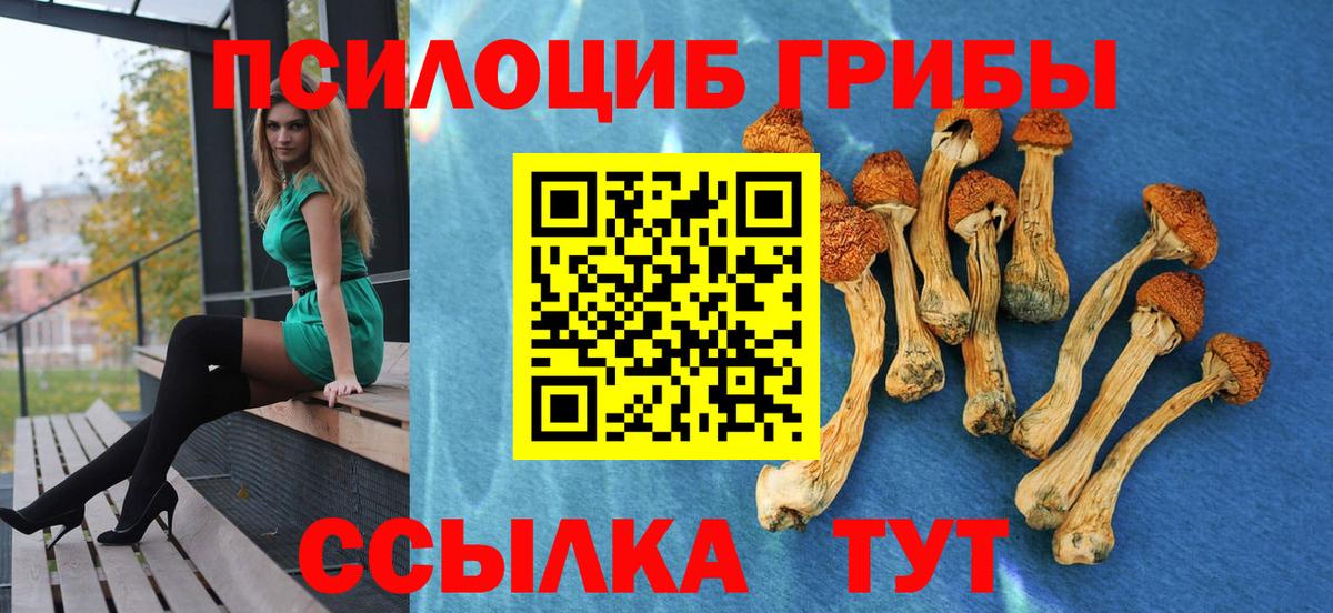 Галлюциногенные грибы GOLDEN TEACHER Новоалександровск