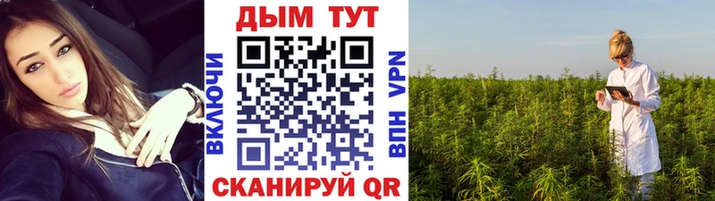 МАРИХУАНА SATIVA & INDICA магазин продажи Новоалександровск